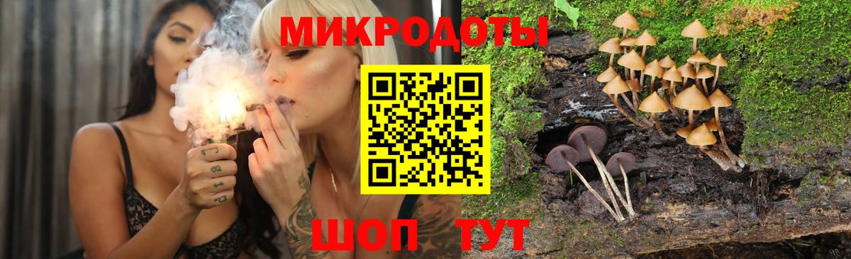 Галлюциногенные грибы MAGIC MUSHROOMS  Галлюциногенные грибы ЛСД  Вход с VPN  Зима 